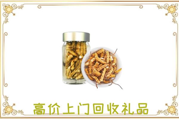矿区周边回收虫草
